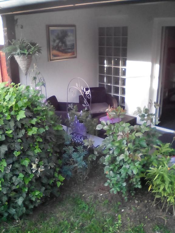 פורץ Apartment Poropat חדר תמונה